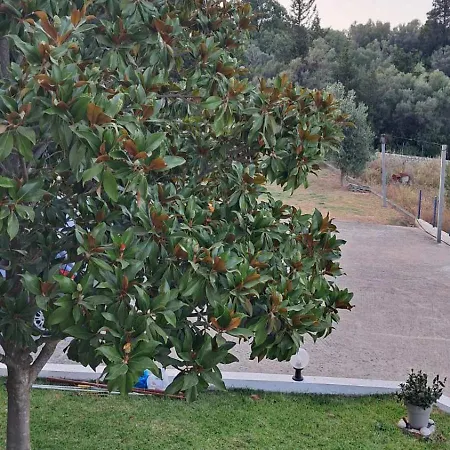 Casa Blu דירה ניקיאנה